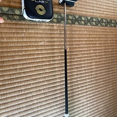 オデッセイパターの画像