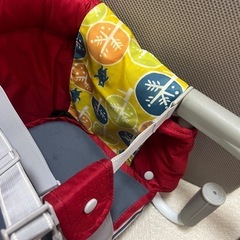 イングリッシーナファスト(専用トレー、カバー付)の画像