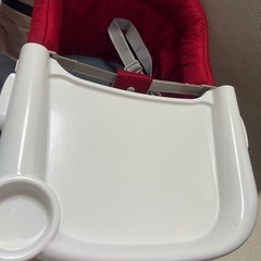 イングリッシーナファスト(専用トレー、カバー付)の画像