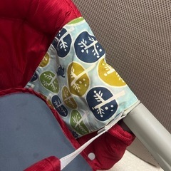 イングリッシーナファスト(専用トレー、カバー付)の画像