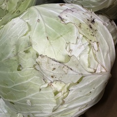野菜の外葉、虫食い野菜
あげます！！の画像