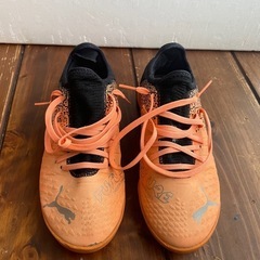 【激安】プーマのトレーニングシューズの画像