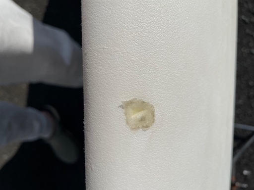 ミックファニングソフトボード THE BEASTIE 7&rsquo;0&rdquo;