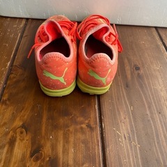 【激安】プーマのトレーニングシューズの画像