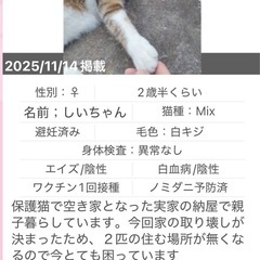 しいちゃん 来年春に取り壊しが決定し、焦っています