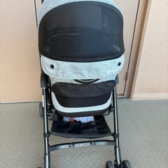 コムペットミリミリ（コンビ）の画像