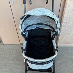 コムペットミリミリ（コンビ）の画像