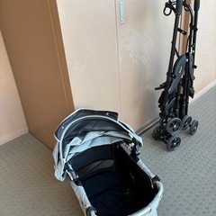 コムペットミリミリ（コンビ）の画像