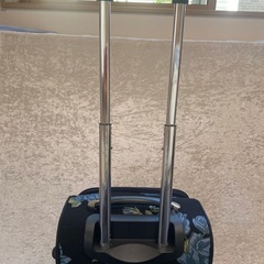 Think Bee! カギ付き フラワー柄 キャリーバックの画像