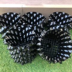 【新品】穴たくさん水捌け抜群鉢５鉢の画像