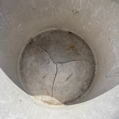 プラスチック　バケツ　　48 × 35の画像