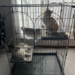 キャットケージの画像