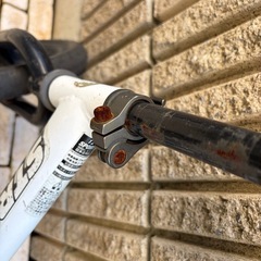 ストライダーの画像