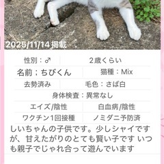 ちびくん　来年春に取り壊しが決定し、焦っています。