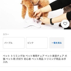 🐶サムソン・サロン✨　ワンちゃんの爪切りやトリミングに♪の画像