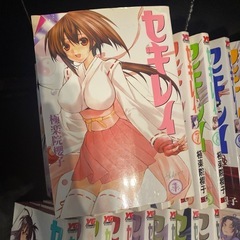 セキレイ　全19巻セット  極楽院櫻子 の画像