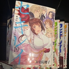 セキレイ　全19巻セット  極楽院櫻子 の画像
