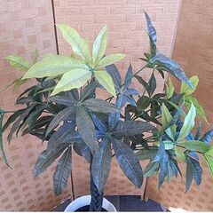 札幌【フェイクグリーン 高さ125cm】人工観葉植物 インテリアグリーン 北20条店の画像