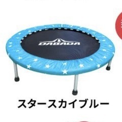 取り引き完了】トランポリンの画像