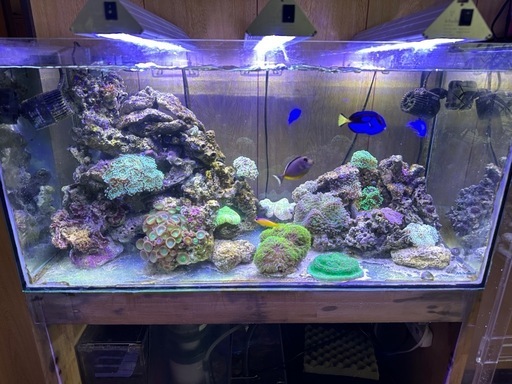 海水水槽90センチオーバーフロー