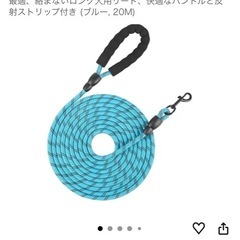 ロングリードの画像