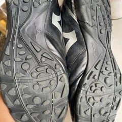 ミズノ　きまりましたの画像