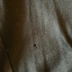 キッズジャージの画像