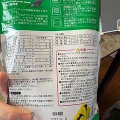 文鳥のえさ餌の画像