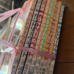 カントリークラフトの画像