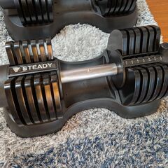 可変式ダンベル 20kg x 2の画像