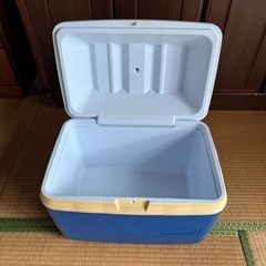 ラバーメイド　クーラーボックス37Lの画像