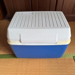 ラバーメイド　クーラーボックス37Lの画像