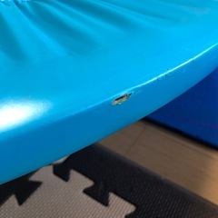 こどもから大人まで楽しめる☆トランポリン の画像