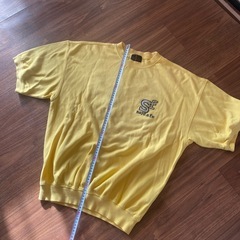 サンタフェ（santafe）の刺繍ロゴ入りTシャツの画像