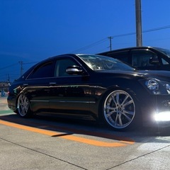 SSRヴィエナ メリージア19
インチの画像