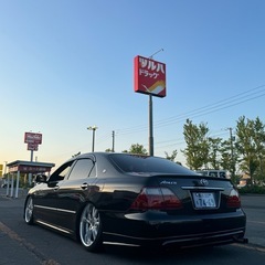 SSRヴィエナ メリージア19
インチの画像