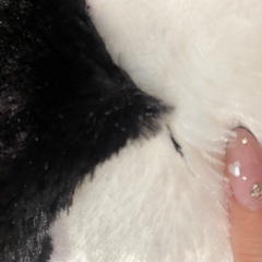 (受け渡し予定者決定☆)新品タグ付 ポチャッコ BIGぬいぐるみセットの画像