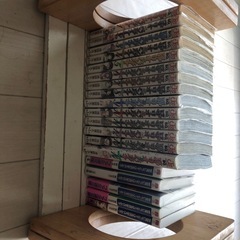 折りたたみ式本棚 ロザリオとバンパイアシーズン2全巻 14冊 ラノベ 吸血鬼になったキミは永遠の愛をはじめる全巻5冊 本の画像