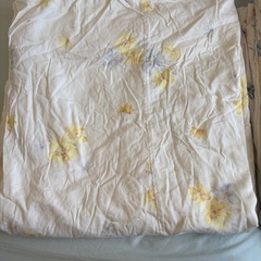 【中古】ダブルサイズ（キングロング） 羽毛布団の画像