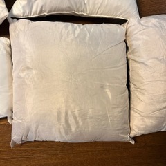 クッション　ヌード（中材）の画像