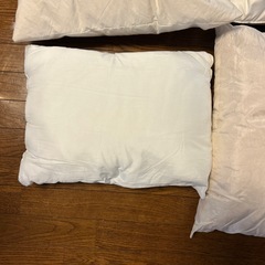 クッション　ヌード（中材）の画像