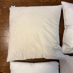 クッション　ヌード（中材）の画像