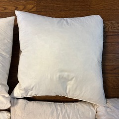 クッション　ヌード（中材）の画像