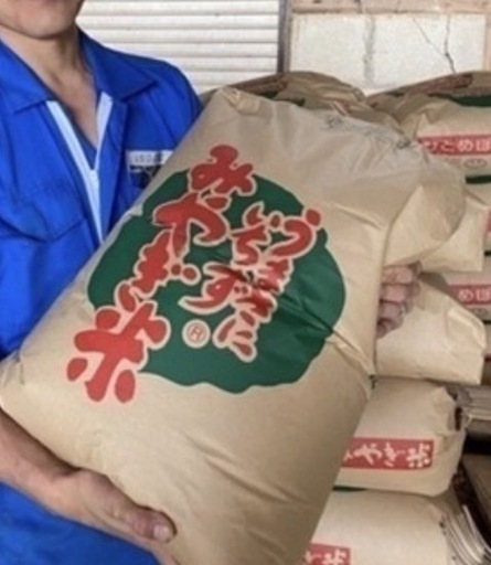 R７年度産　新米　環境保全米　減農薬　 1等米ささ結び３０キロ　残り５袋