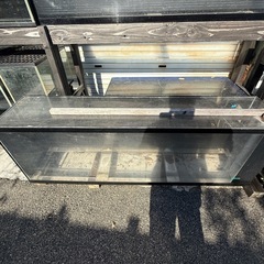 引き取り限定！破格の値段！ガラス＆アクリル水槽全部！の画像