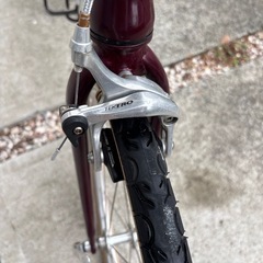 ダホンダッシュ　アルテナの画像