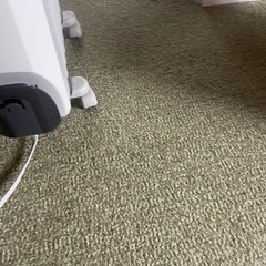 中古品 動作確認済 DeLonghi デロンギ オイルヒーター RHJ10F0812-SG 暖房 の画像