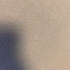 ヨギボーの画像