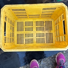 コンテナの画像