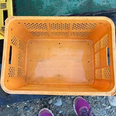 コンテナの画像